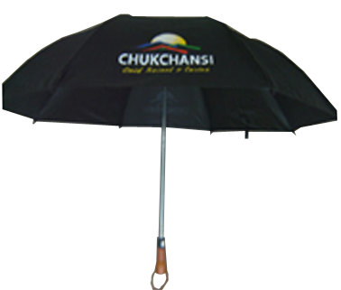 2 Folding Umbrella #2